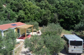 Secluded fisherman's cottage Cove Skozanje, Hvar - 19749